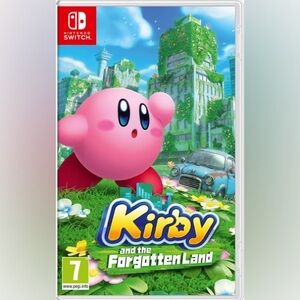 Kirby Video Game - Pink